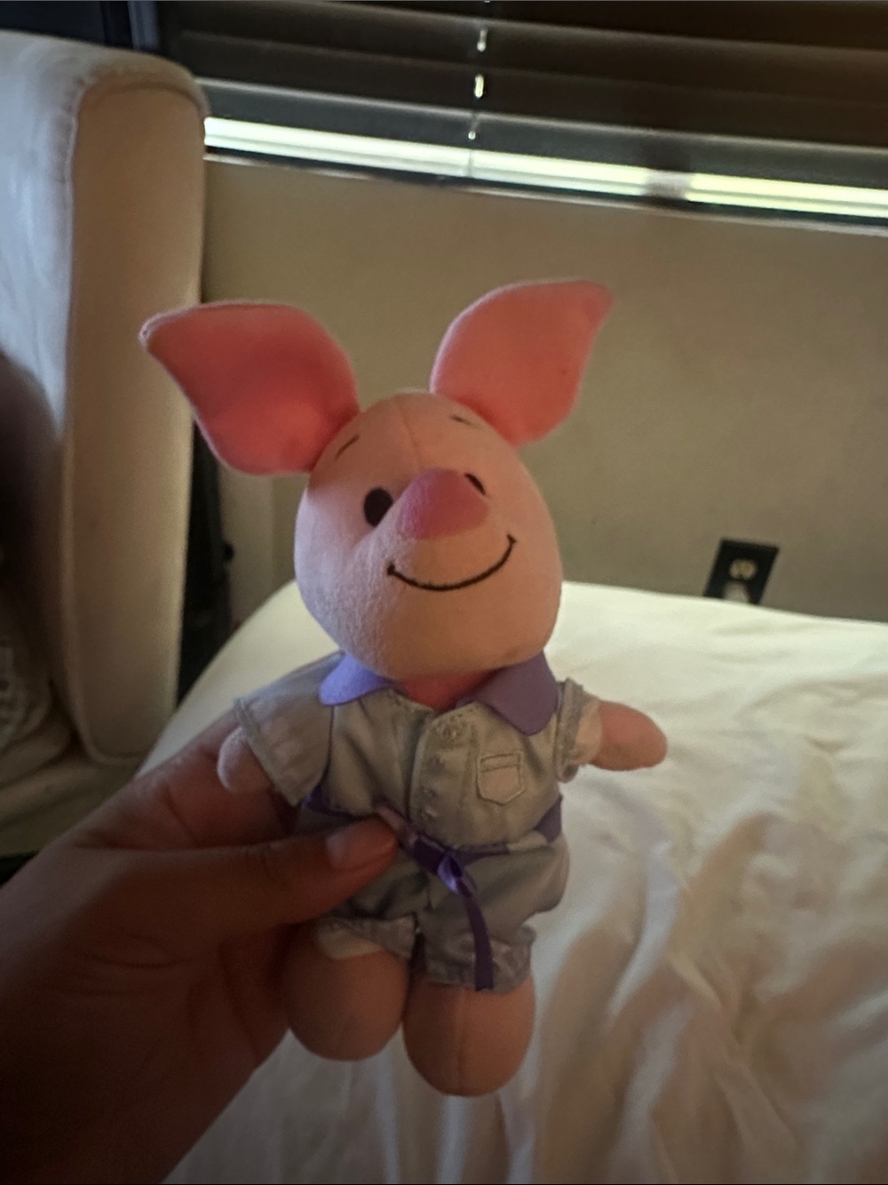 Piglet Nuimos